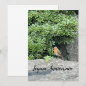 Een roodborstje (Voorkant / Achterkant)