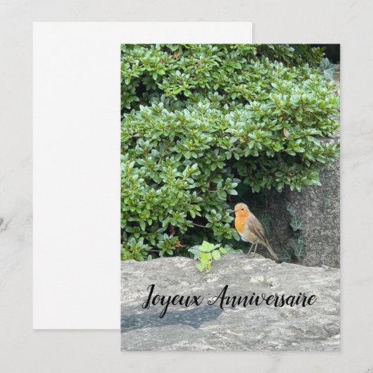 Een roodborstje (Voorkant / Achterkant)