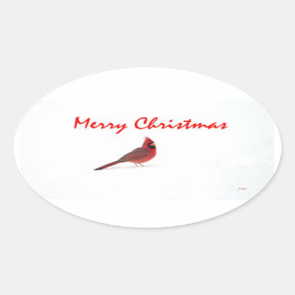 Een roodvogel Kerst sticker