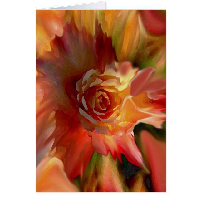 Eén Roos (Voorkant)