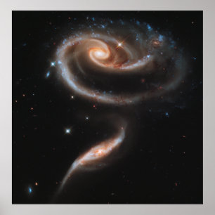 Een Roos gemaakt van Galaxies, ARP 273 [Druk] Poster