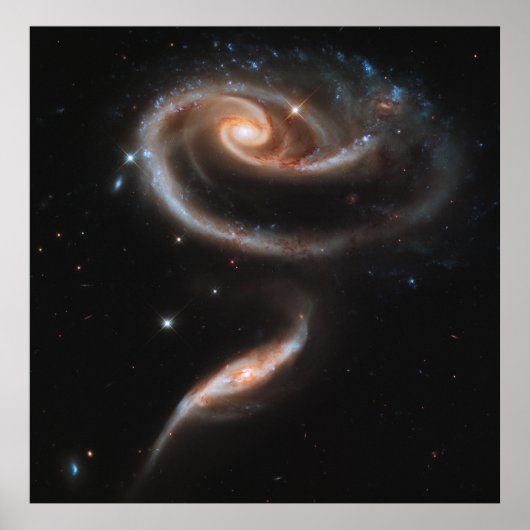 Een Roos gemaakt van Galaxies, ARP 273 [Druk] Poster (Voorkant)