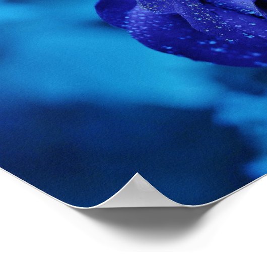 Een roos in blauwe nevel poster (Hoek)