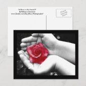 Een Roos in de hand 2 Briefkaart (Voorkant / Achterkant)