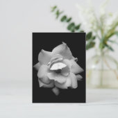 Eén Roos in zwart-wit Briefkaart (Staand voorkant)