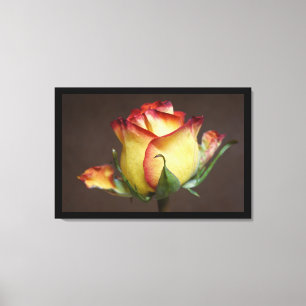 Een Roos Is een Roos Canvas Afdruk