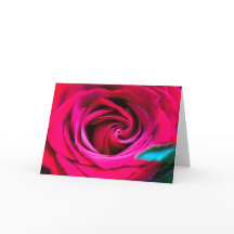 Een Roos Is Maar Een Roos