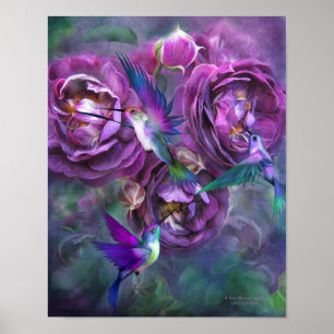 Een Roos met de naam Violette Fine Art Poster/Prin Poster