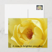 Een roos om je dag op te helderen! briefkaart (Voorkant / Achterkant)
