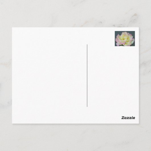 Een roos om je dag op te helderen! briefkaart (Achterkant)