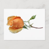 Eén roos snijden feestdagenkaart (Voorkant)