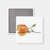 Eén roos snijden magneet (Voorkant / Achterkant)