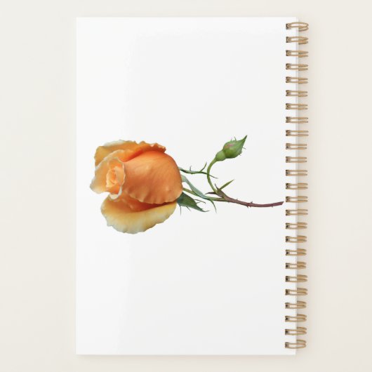 Eén roos snijden planner (Achterkant)