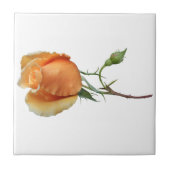 Eén roos snijden tegeltje (Voorkant)