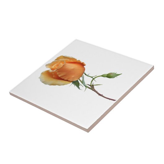 Eén roos snijden tegeltje (Zijkant)