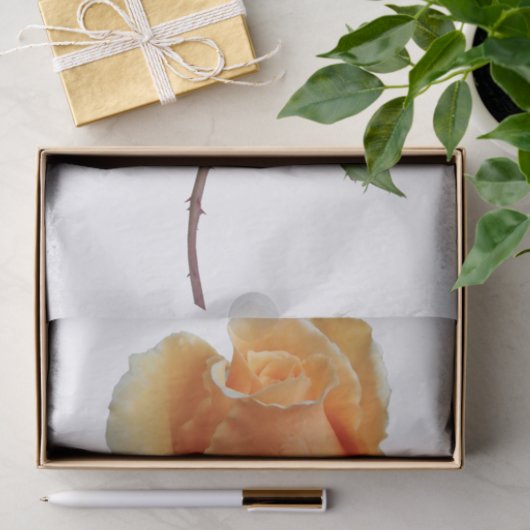 Eén roos snijden tissuepapier (Geschenk)