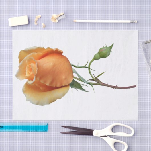 Eén roos snijden tissuepapier (Craft)