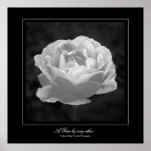 Een Roos van een ander... Poster (Voorkant)