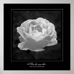 Een Roos van een ander... Poster