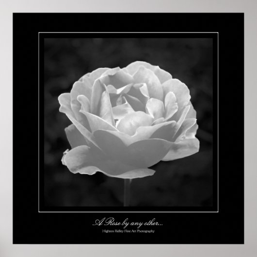 Een Roos van een ander... Poster (Voorkant)