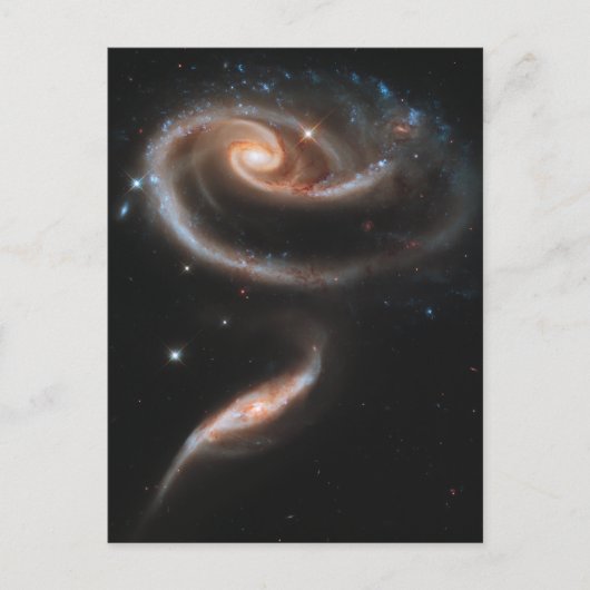 Een roos van sterrenstelsels briefkaart (Voorkant)