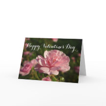 Een roos voor een roos gelukkige Valentijnsdag