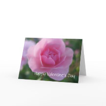 Een roos voor een roos happy Valentijnsdag