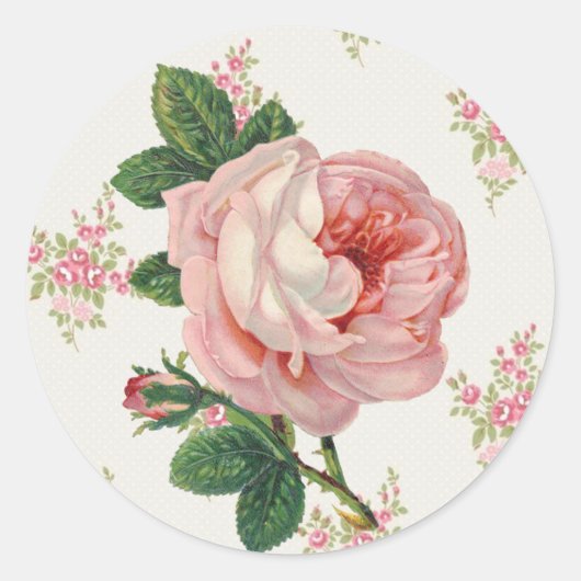 Een Roos voor een Roos  roze bloemmotief Ronde Sticker (Voorkant)