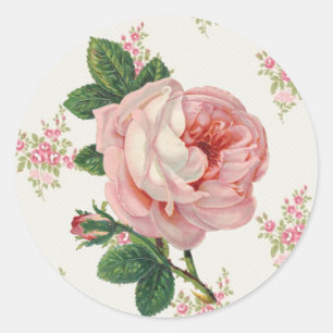 Een roos voor een vintage roze bloemmotief ronde sticker