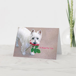 "Een Roos voor u" alle gelegenheid wenskaart Bedankkaart