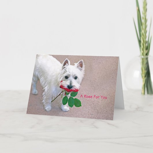 "Een Roos voor u" alle gelegenheid wenskaart Bedankkaart (Voorkant)