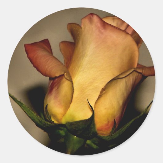 Een roos voor u sticker (Voorkant)