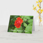 Een roos, vrolijke Moederdag! Kaart (Gele Bloem)