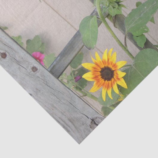 Een rooster die zonnebloemen inspecteert tissuepapier (Detail)