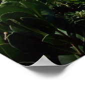 Een rotsachtige Bermuda baai Poster (Hoek)