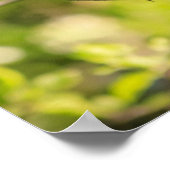 Een Round Robin op een Branch Poster (Hoek)