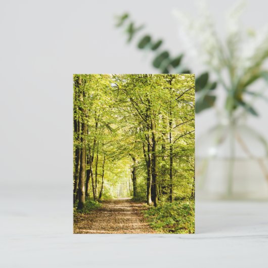 Een route bedekt met bladeren in een magica-bos briefkaart (Staand voorkant)