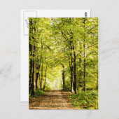 Een route bedekt met bladeren in een magica-bos briefkaart (Voorkant / Achterkant)