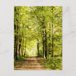 Een route bedekt met bladeren in een magica-bos briefkaart