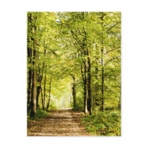 Een route bedekt met bladeren in een magica-bos