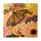 Een rouwbare cloak-vlinder tegeltje (Voorkant)