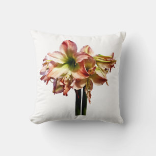 Een roze en witte Amaryllis Kussen