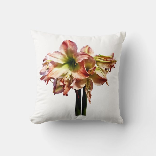 Een roze en witte Amaryllis Kussen (Voorkant)