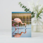 Een roze flamingo die zijn reflectie in het water  briefkaart (Staand voorkant)