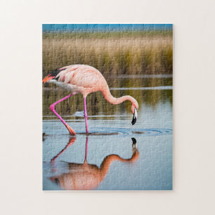 Een roze flamingo die zijn spiegelbeeld in het wat legpuzzel