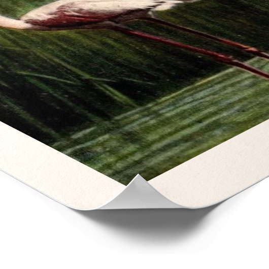 Een  roze flamingo print (Hoek)