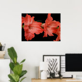 een roze gladiola poster (Thuiskantoor)