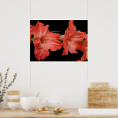 een roze gladiola poster (Keuken)