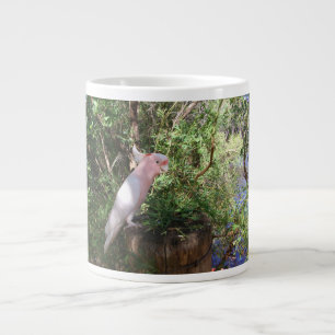Een roze Mitchell's cockatoo op een vat Grote Koffiekop