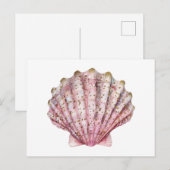 Een roze ongewervelde zeeschelp briefkaart (Voorkant / Achterkant)